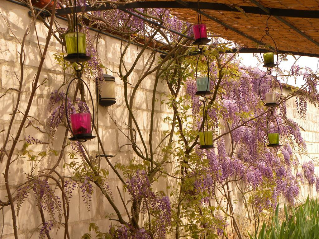 Entre Cour Et Jardin Chalons en Champagne Bagian luar foto